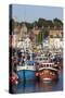 Fishing Boats in the Old Harbour, Weymouth, Dorset, England, United Kingdom, Europe-Stuart Black-Stretched Canvas