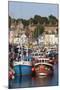 Fishing Boats in the Old Harbour, Weymouth, Dorset, England, United Kingdom, Europe-Stuart Black-Mounted Photographic Print