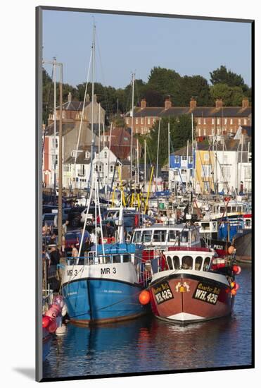 Fishing Boats in the Old Harbour, Weymouth, Dorset, England, United Kingdom, Europe-Stuart Black-Mounted Photographic Print