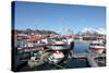 Fishing Boats in Tomvik Harbour, Kvaloya (Whale Island), Troms, Arctic Norway, Scandinavia, Europe-David Lomax-Stretched Canvas