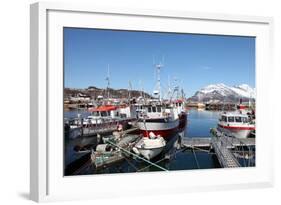 Fishing Boats in Tomvik Harbour, Kvaloya (Whale Island), Troms, Arctic Norway, Scandinavia, Europe-David Lomax-Framed Photographic Print