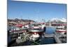 Fishing Boats in Tomvik Harbour, Kvaloya (Whale Island), Troms, Arctic Norway, Scandinavia, Europe-David Lomax-Mounted Photographic Print