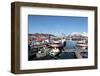 Fishing Boats in Tomvik Harbour, Kvaloya (Whale Island), Troms, Arctic Norway, Scandinavia, Europe-David Lomax-Framed Photographic Print