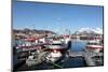 Fishing Boats in Tomvik Harbour, Kvaloya (Whale Island), Troms, Arctic Norway, Scandinavia, Europe-David Lomax-Mounted Photographic Print