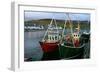 Fishing Boats in Ullapool Harbour at Night, Highland, Scotland-Peter Thompson-Framed Photographic Print