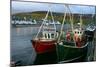 Fishing Boats in Ullapool Harbour at Night, Highland, Scotland-Peter Thompson-Mounted Photographic Print