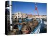 Fishing Boats in Victoria Dock, Hobart, Tasmania-Julian Love-Stretched Canvas