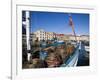 Fishing Boats in Victoria Dock, Hobart, Tasmania-Julian Love-Framed Photographic Print