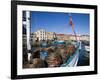 Fishing Boats in Victoria Dock, Hobart, Tasmania-Julian Love-Framed Photographic Print