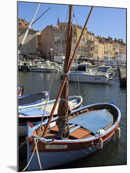 Fishing Boats in Vieux Port Harbour, St. Tropez, Var, Provence, Cote D'Azur, France, Mediterranean,-Peter Richardson-Mounted Photographic Print