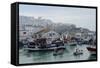 Fishing Boats Leaving Tangier Fishing Harbour, Tangier, Morocco, North Africa, Africa-Mick Baines & Maren Reichelt-Framed Stretched Canvas