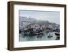 Fishing Boats Leaving Tangier Fishing Harbour, Tangier, Morocco, North Africa, Africa-Mick Baines & Maren Reichelt-Framed Photographic Print