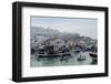 Fishing Boats Leaving Tangier Fishing Harbour, Tangier, Morocco, North Africa, Africa-Mick Baines & Maren Reichelt-Framed Photographic Print