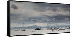 Fishing Boats Line Up Near the Coast of Florianopolis Island in Santa Catarina, Brazil-Alex Saberi-Framed Stretched Canvas