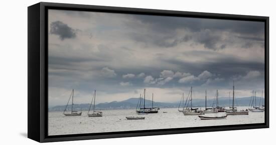 Fishing Boats Line Up Near the Coast of Florianopolis Island in Santa Catarina, Brazil-Alex Saberi-Framed Stretched Canvas