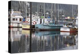 Fishing Boats Moored in Harbor, Petersburg, Alaska, USA-Jaynes Gallery-Stretched Canvas
