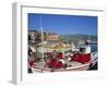 Fishing Boats Moored in Harbour at Molyvos, Lesbos, North Aegean Islands, Greek Islands, Greece-Lightfoot Jeremy-Framed Photographic Print