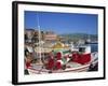 Fishing Boats Moored in Harbour at Molyvos, Lesbos, North Aegean Islands, Greek Islands, Greece-Lightfoot Jeremy-Framed Photographic Print