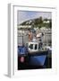 Fishing Boats Moored in Looe Harbour, Cornwall, England, United Kingdom, Europe-Nick Upton-Framed Photographic Print