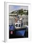 Fishing Boats Moored in Looe Harbour, Cornwall, England, United Kingdom, Europe-Nick Upton-Framed Photographic Print