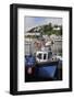 Fishing Boats Moored in Looe Harbour, Cornwall, England, United Kingdom, Europe-Nick Upton-Framed Photographic Print