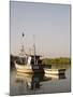 Fishing Boats on Backwater Near Mobor, Goa, India-R H Productions-Mounted Photographic Print