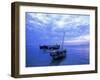 Fishing Boats on the Indian Ocean at Dusk, off Stone Town, Zanzibar, Tanzania, East Africa, Africa-Lee Frost-Framed Photographic Print