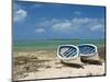 Fishing Boats on the Island of Rodrigues, Mauritius, Indian Ocean, Africa-null-Mounted Photographic Print