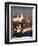 Fishing Boats, Pittenweem, Fife, Scotland, United Kingdom-Jonathan Hodson-Framed Photographic Print