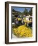 Fishing Boats, Poli Bay, Ithaka, Ionian Islands, Greece-R H Productions-Framed Premium Photographic Print