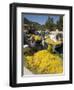 Fishing Boats, Poli Bay, Ithaka, Ionian Islands, Greece-R H Productions-Framed Premium Photographic Print