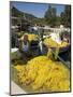 Fishing Boats, Poli Bay, Ithaka, Ionian Islands, Greece-R H Productions-Mounted Photographic Print