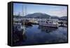 Fishing Boats, Prince Rupert, British Columbia, Canada-Gerry Reynolds-Framed Stretched Canvas