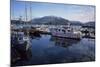 Fishing Boats, Prince Rupert, British Columbia, Canada-Gerry Reynolds-Mounted Photographic Print