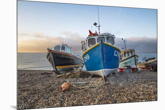 Fishing boats pulled up on shingle beach at sunrise, Beer, Jurassic Coast, Devon, England-Stuart Black-Mounted Premium Photographic Print