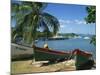 Fishing Boats Pulled Up onto the Beach at Trois Ilets Harbour, Martinique, West Indies-Richardson Rolf-Mounted Photographic Print