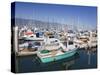 Fishing Boats, Santa Barbara Harbor, California, United States of America, North America-Richard Cummins-Stretched Canvas