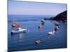 Fishing Boats, Sark, Channel Islands, United Kingdom-J Lightfoot-Mounted Photographic Print