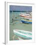 Fishing Boats Tied Up, Isla Mujeres, Quintana Roo, Mexico-Julie Eggers-Framed Photographic Print