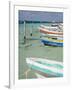 Fishing Boats Tied Up, Isla Mujeres, Quintana Roo, Mexico-Julie Eggers-Framed Photographic Print