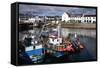 Fishing Boats, Ullapool Harbour, Highland, Scotland-Peter Thompson-Framed Stretched Canvas