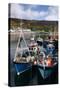 Fishing Boats, Ullapool Harbour, Highland, Scotland-Peter Thompson-Stretched Canvas