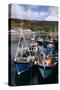 Fishing Boats, Ullapool Harbour, Highland, Scotland-Peter Thompson-Stretched Canvas