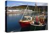 Fishing Boats, Ullapool Harbour, Highland, Scotland-Peter Thompson-Stretched Canvas