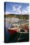 Fishing Boats, Ullapool Harbour, Highland, Scotland-Peter Thompson-Stretched Canvas