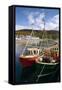 Fishing Boats, Ullapool Harbour, Highland, Scotland-Peter Thompson-Framed Stretched Canvas