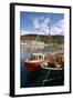 Fishing Boats, Ullapool Harbour, Highland, Scotland-Peter Thompson-Framed Photographic Print