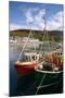 Fishing Boats, Ullapool Harbour, Highland, Scotland-Peter Thompson-Mounted Photographic Print