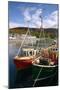 Fishing Boats, Ullapool Harbour, Highland, Scotland-Peter Thompson-Mounted Photographic Print