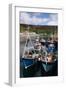 Fishing Boats, Ullapool Harbour, Highland, Scotland-Peter Thompson-Framed Photographic Print